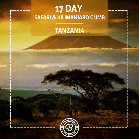 17 day Tanzania Adventure
