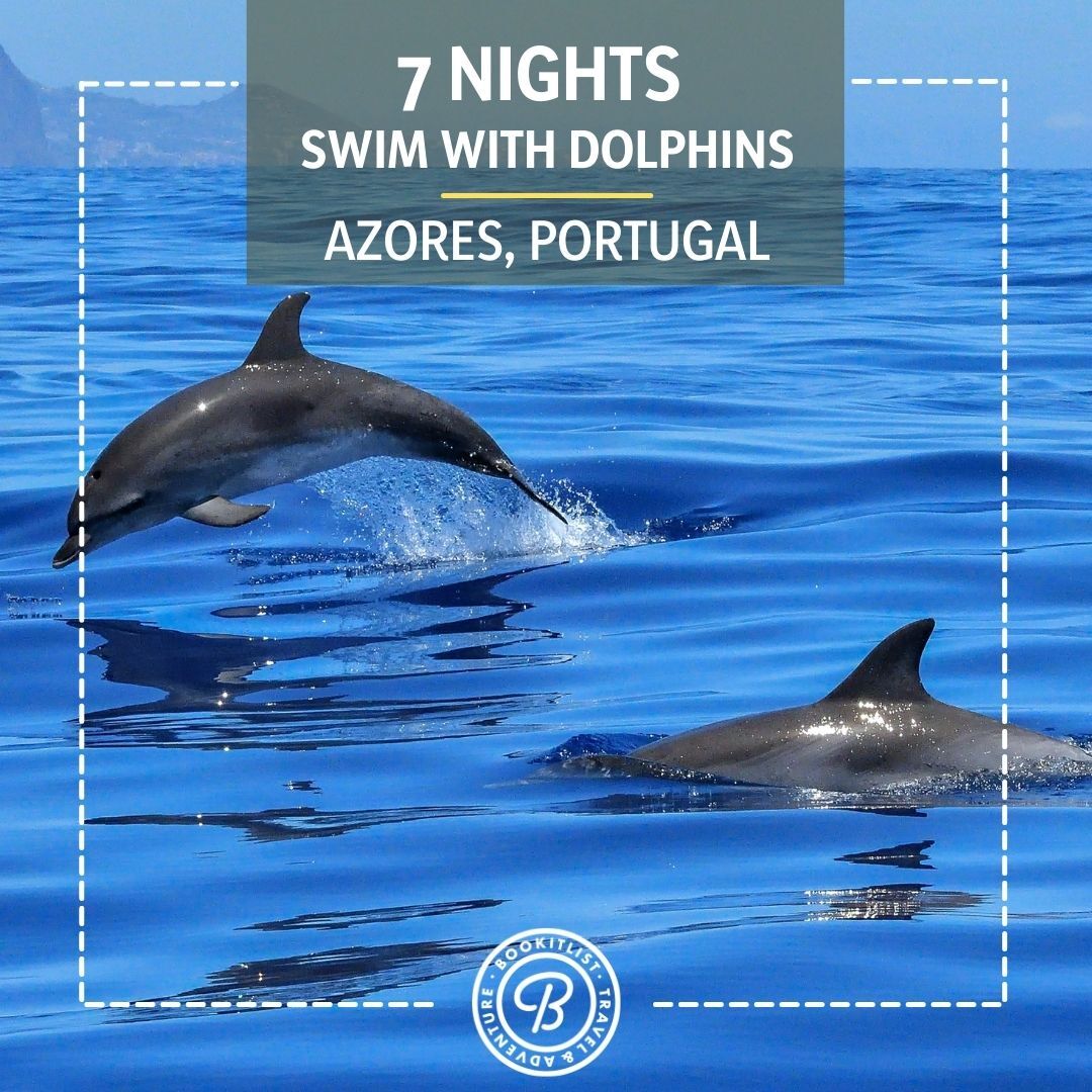 7nightswimwithdolphins