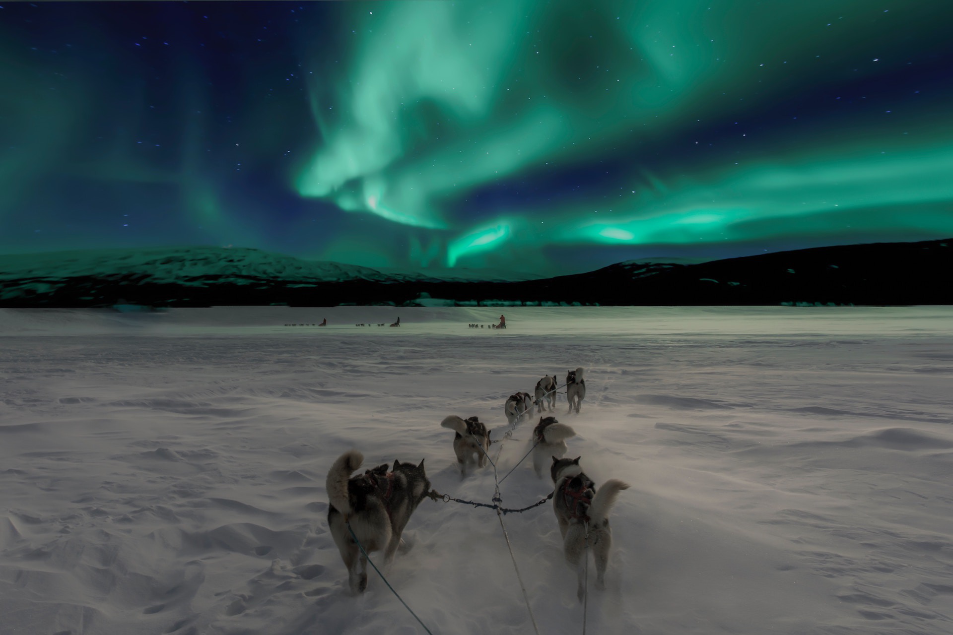 Bil See Northern Lights