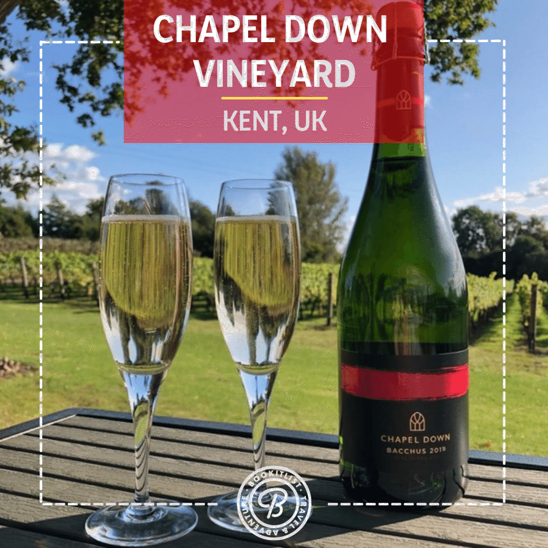 Chapel Down Vineyard Tour