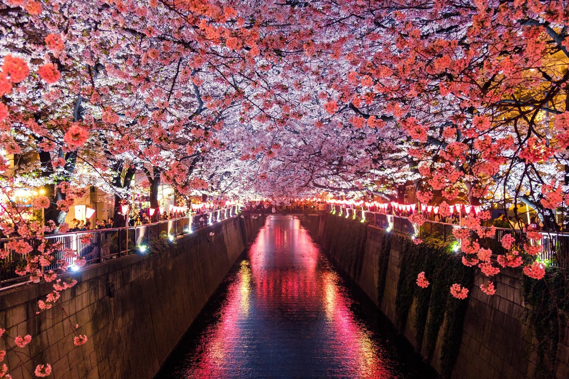 Meguro River Matsuno Japan