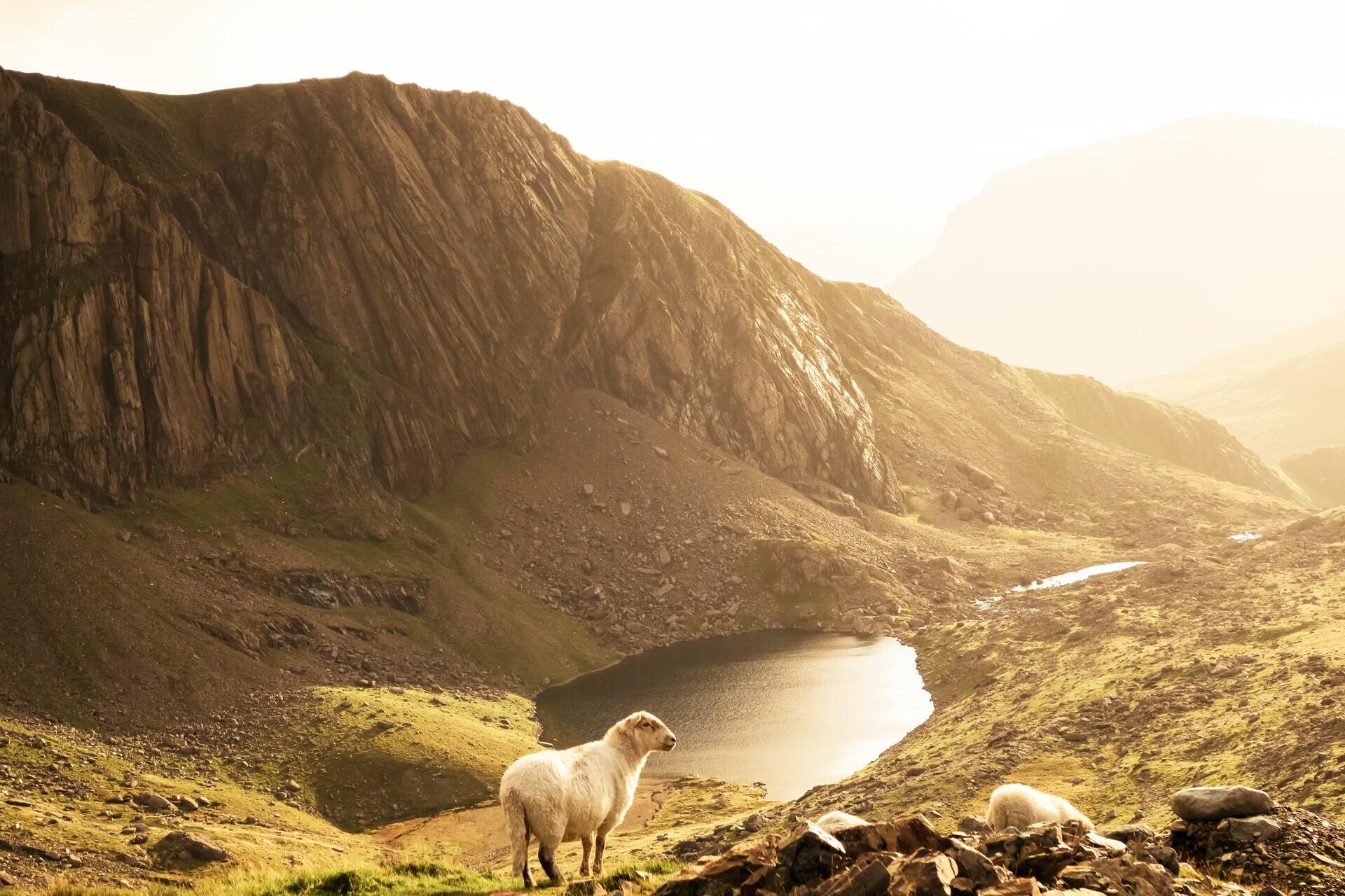 Snowdonia National Park