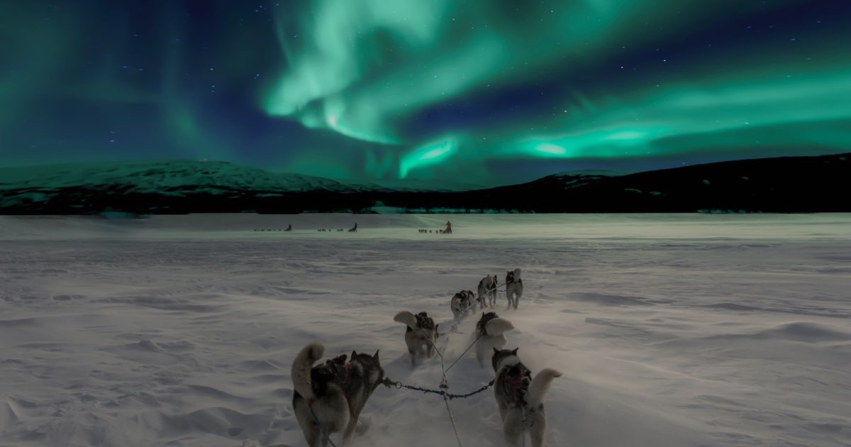 See the Northern Lights BookitList See the Northern Lights BookitList