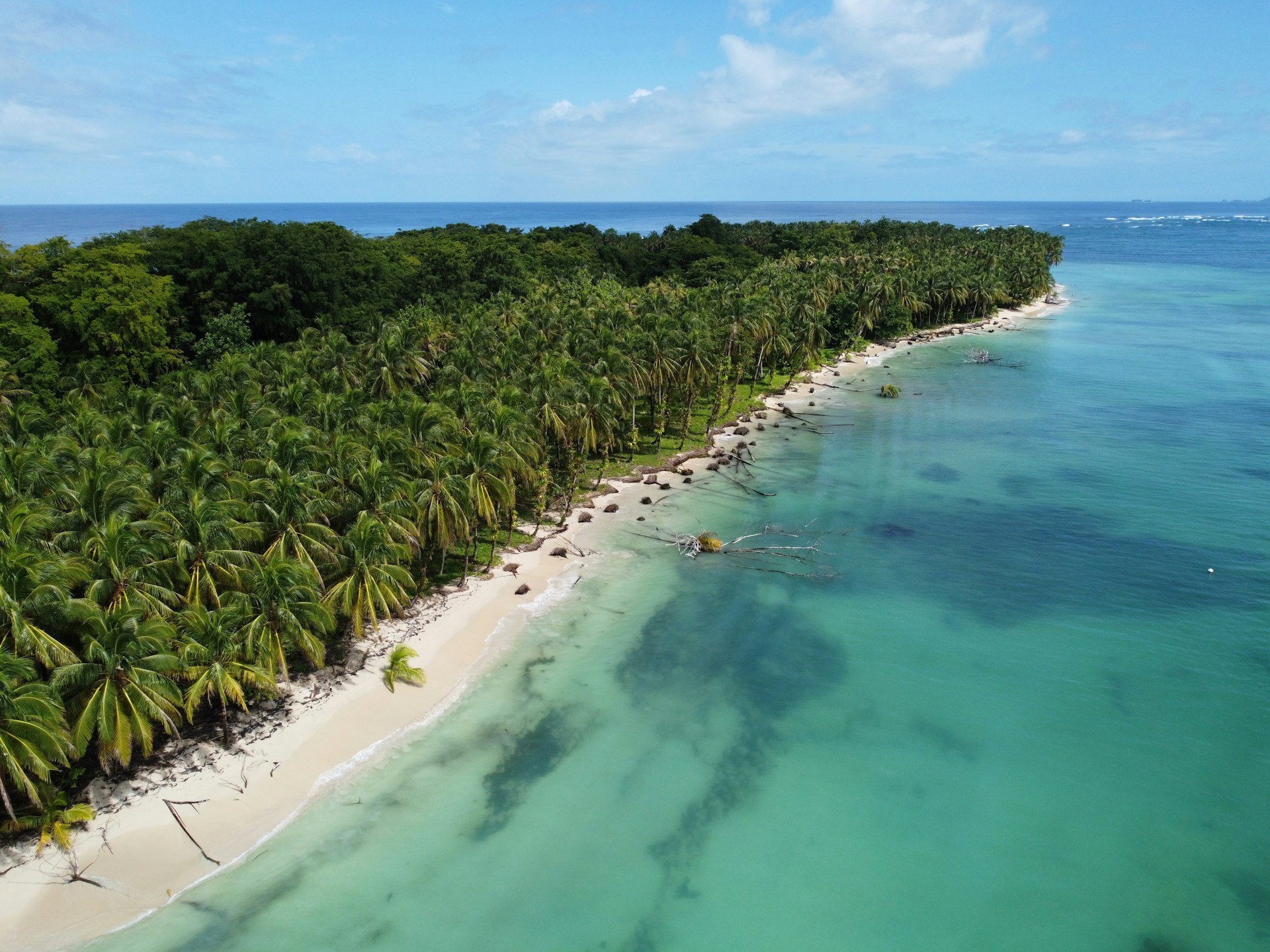 https://www.bookitlist.com/entries/go-to-mexico