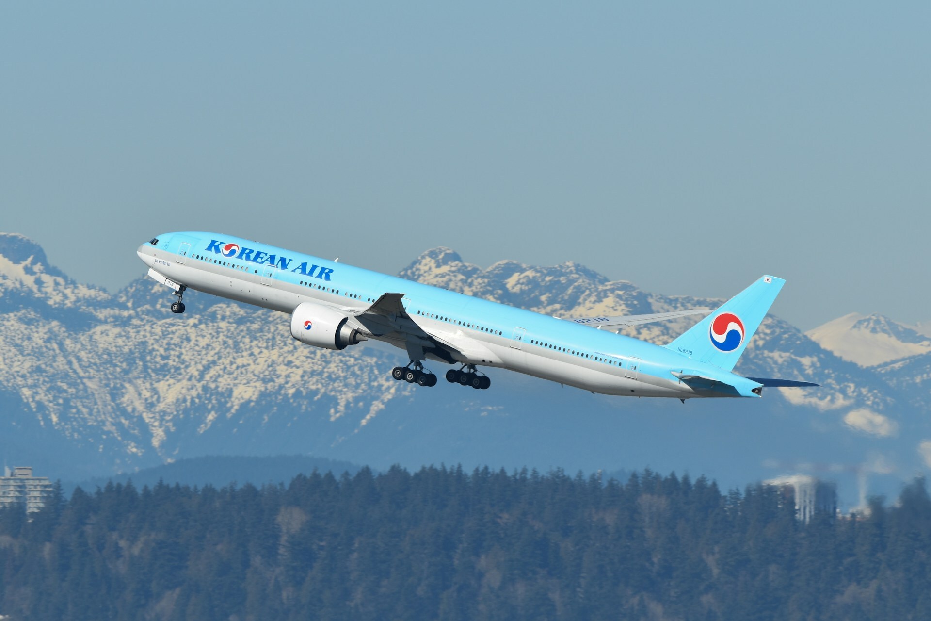 Korean Air Soars to the Top: 2025’s Best Airlines Announced