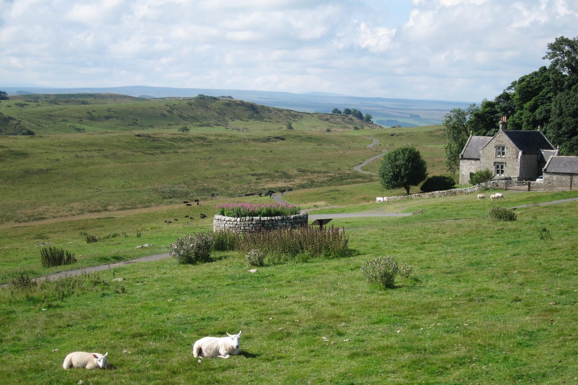 7 Day Hadrian's Wall Walk