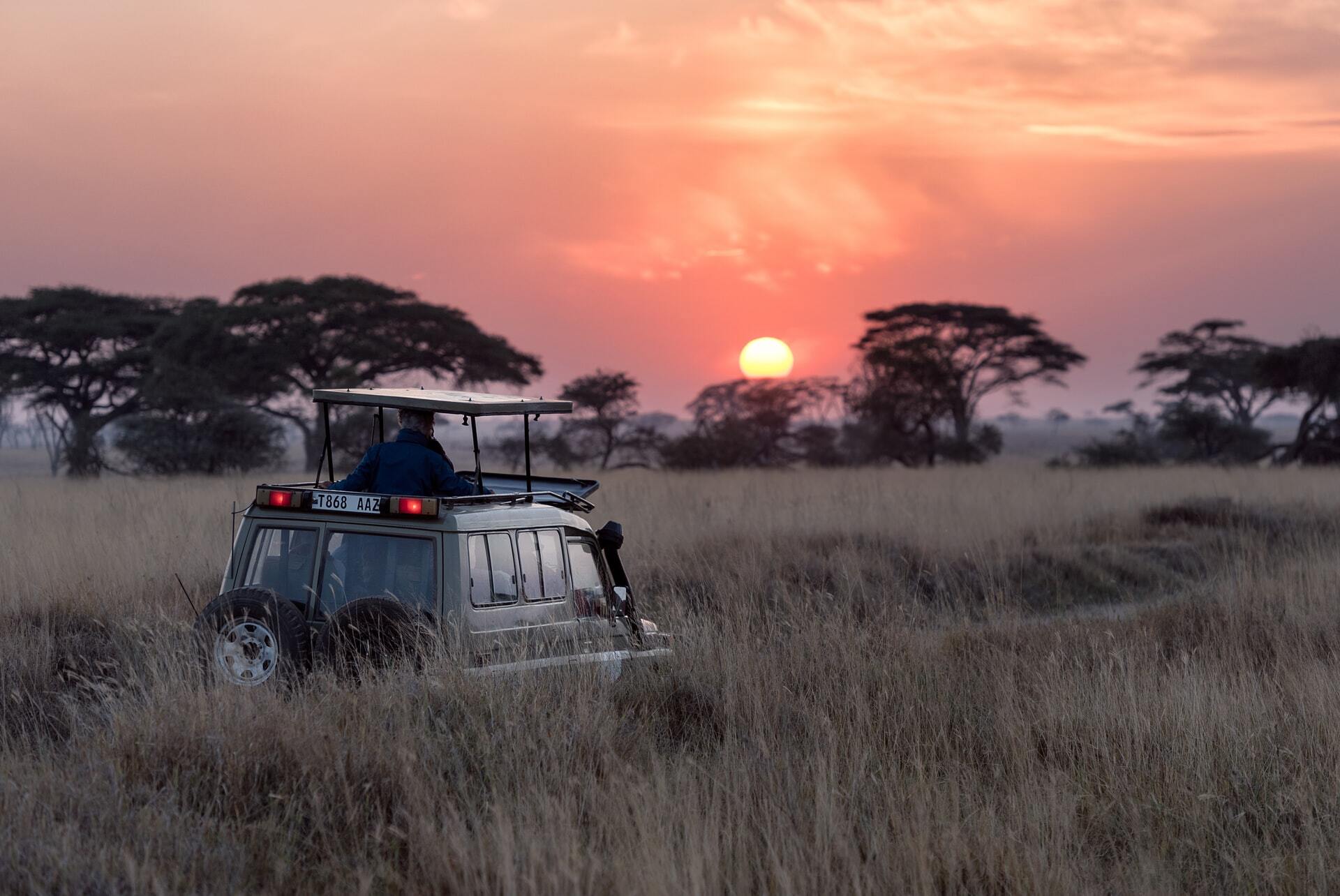 Tips for spotting Africa’s Big 5