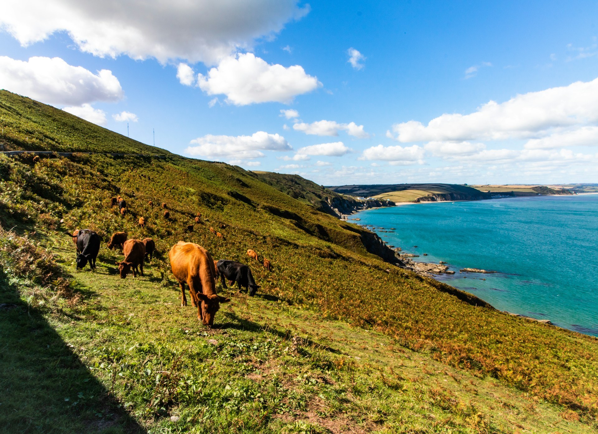 A brand-new 100-mile walking route is opening in southwest England this September!