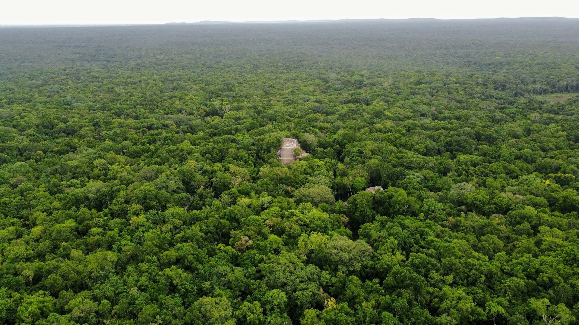 Latin America just created its second-largest nature reserve – and it’s bigger than some countries!