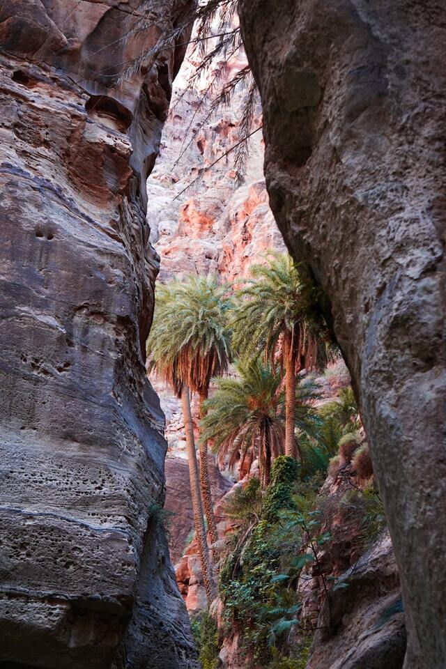 Dana to Petra Trek - Wadi Feinan