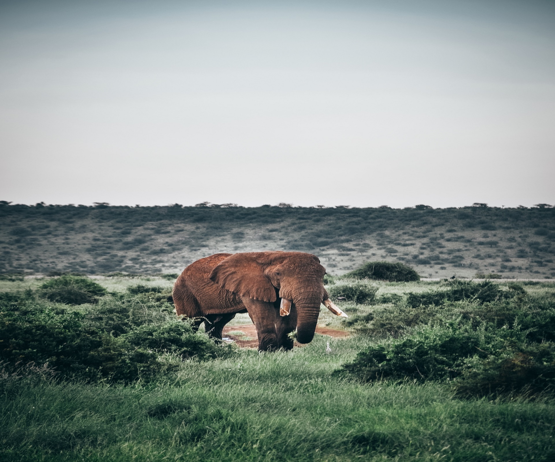 Southern kenya