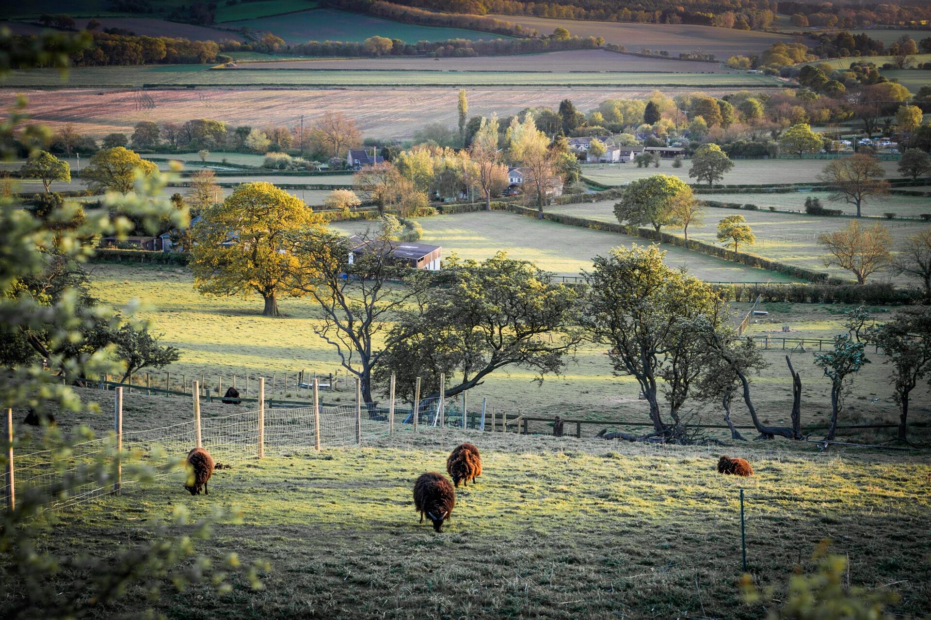 Yorkshire hills